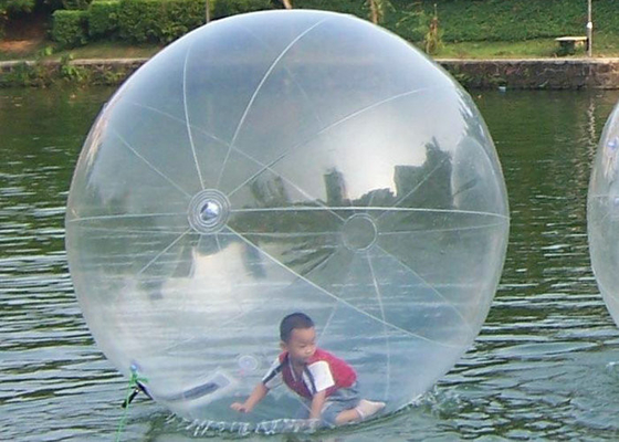 Transparant pvc TPU die op van het de Balembleem van de Waterbel de Grootte van de de Drukdouane lopen
