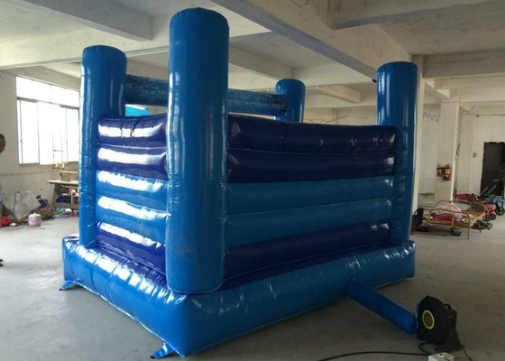 Elsa als thema had de Opblaasbare Bouncy-van de de Scheurweerstand van de Kasteel Blauwe Kleur Snelle Levering