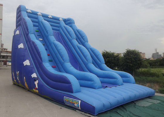 Opblaasbaar Bouncy-Kasteel met Gedrukte het Beeldverhaalkarakters van de Dia Blauwe Kleur