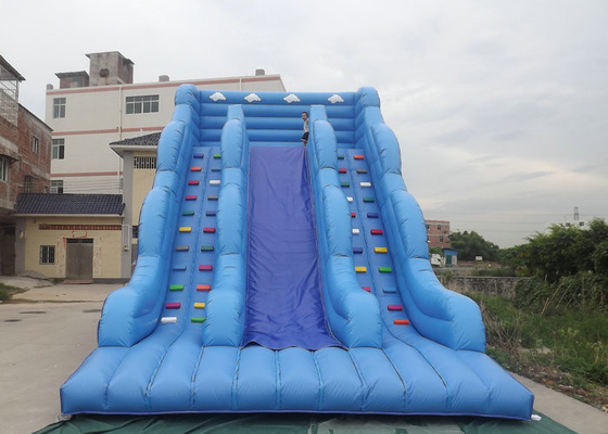 Opblaasbaar Bouncy-Kasteel met Gedrukte het Beeldverhaalkarakters van de Dia Blauwe Kleur