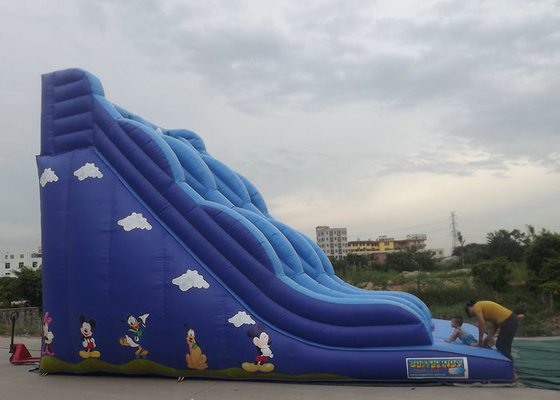 Opblaasbaar Bouncy-Kasteel met Gedrukte het Beeldverhaalkarakters van de Dia Blauwe Kleur