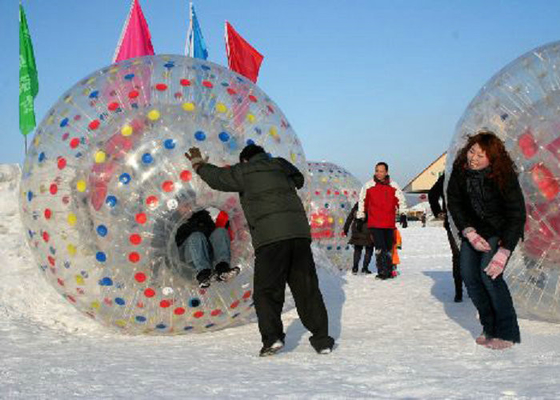 2.2m 3.0m Dia Opblaasbare Openluchtspeelgoedbrand - Bal van de vertragers de Grote Hamster