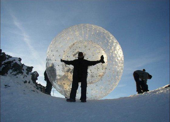 2.2m 3.0m Dia Opblaasbare Openluchtspeelgoedbrand - Bal van de vertragers de Grote Hamster