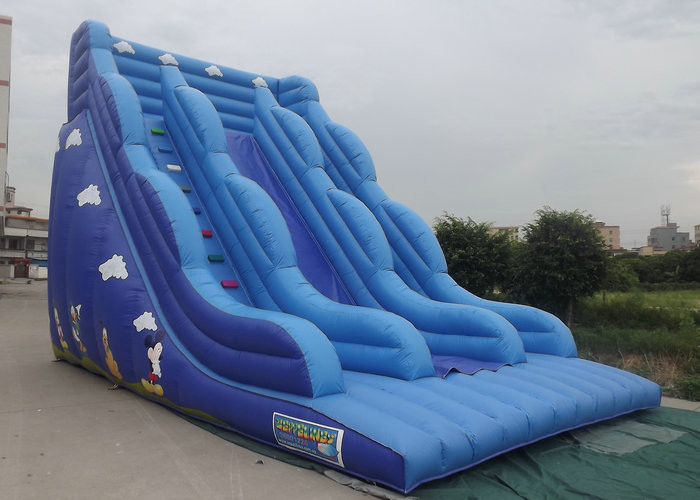 Opblaasbaar Bouncy-Kasteel met Gedrukte het Beeldverhaalkarakters van de Dia Blauwe Kleur